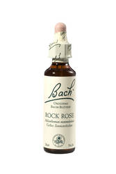 BACHBLTEN Rock Rose Tropfen (Gelbes Sonnenrschen)