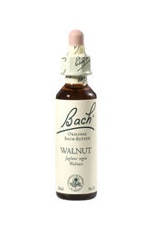 BACHBLTEN Walnut Tropfen (Walnuss)