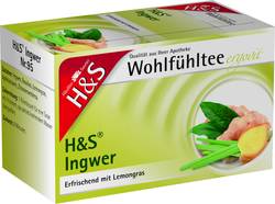 H&S Ingwer Filterbeutel