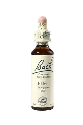 BACHBLTEN Elm Tropfen (Ulme)