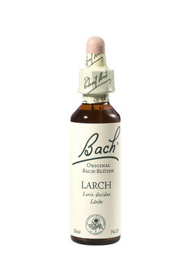 BACHBLTEN Larch Tropfen (Lrche)